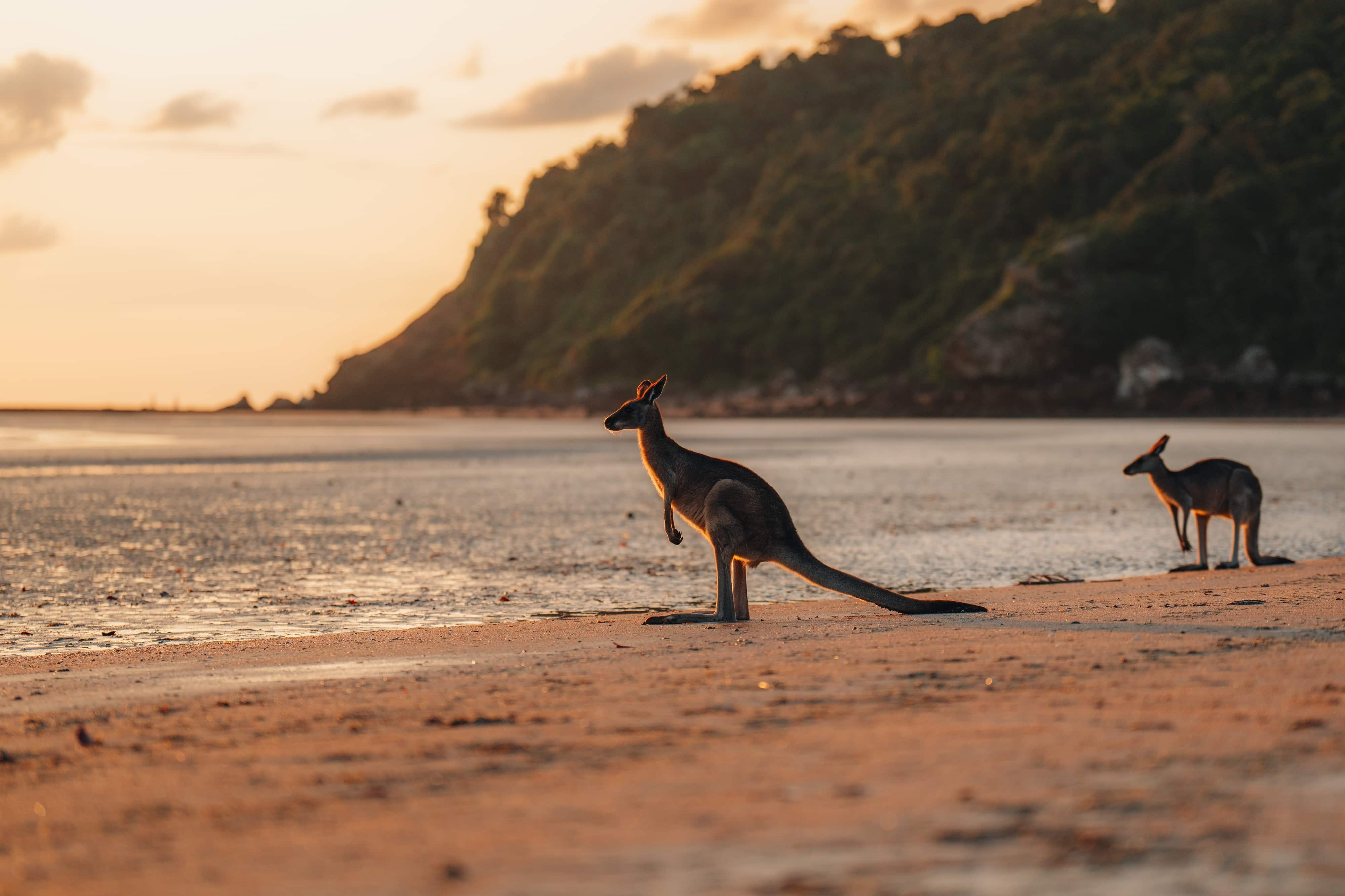 Queensland coastline